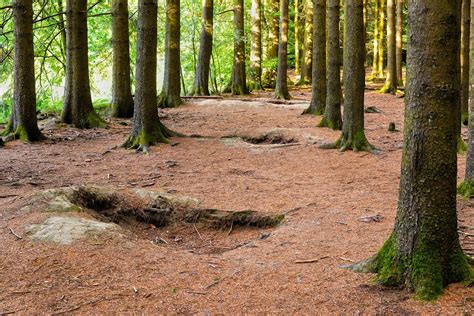 bastenaken bezienswaardigheden|Top 7 Activiteiten in Bastenaken